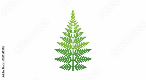 Detailed green fern frond with gradient coloration on white background
