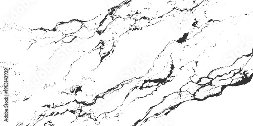 A clean black and white liquid ink splash design featuring a cracked grunge paper texture and a blue paint wave illustration map of Japan