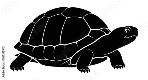 Black turtle side view illustration.