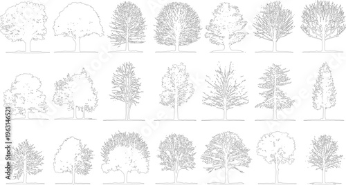 Collection of diverse tree outlines in black and white line style for architectural or use