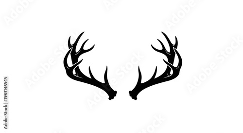 Deer Antlers Silhouette Closeup 1.
