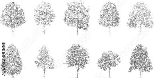 Ten grey textured trees with detailed foliage and visible trunks on a white background nature leaves