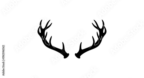 Deer Antlers Silhouette Closeup.