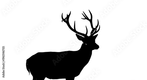 Deer Silhouette with Large Antlers.