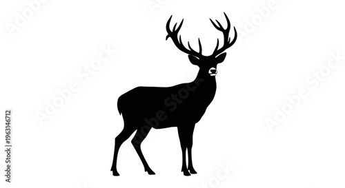 Deer with Large Antlers Standing.