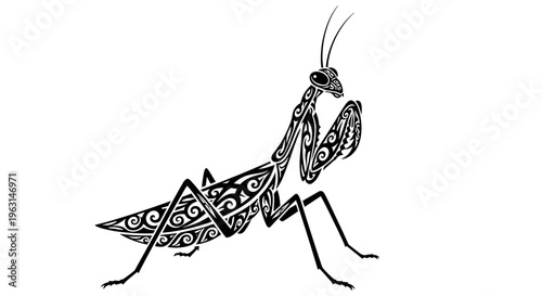 Detailed praying mantis insect drawing.