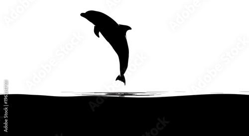 Dolphin jumping out water.