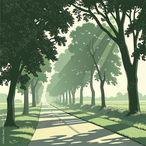 Beautiful Tree Lined Road with Morning Sunlight