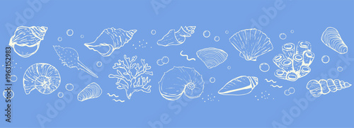 Seashells and starfish set sketch hand drawn seamless border coastal horizontal pattern on blue background. Summer vacation design elements for trendy prints, 