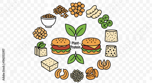 Plant based protein food ingredients circle.