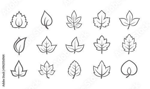 Collection of fifteen stylized leaf with varying shapes and vein patterns nature