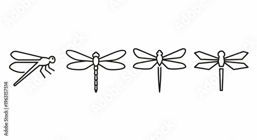 Four Dragonflies in Different Flying Positions Line Art Drawing