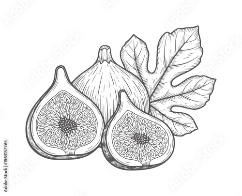 Line of whole and halved figs with leaf fruit food