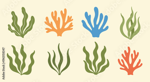 Coral reef seaweed marine plants in various colors and shapes