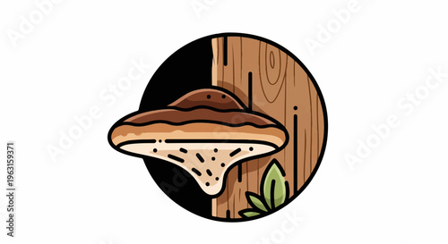 A flat, brown mushroom with white underside grows on a textured brown tree trunk