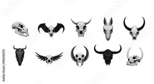 Diverse collection of animal skulls and wing silhouettes in monochrome illustration