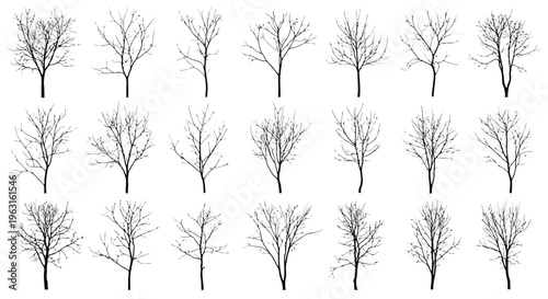 Collection of stylized bare trees arranged in a grid pattern against a plain background