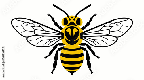 A vibrant yellow and black striped bee illustration with transparent wings, viewed from above, showcasing its insect anatomy.