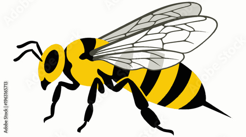 A detailed illustration of a yellow and black striped bee with translucent wings and six legs, depicted in profile against a plain white background.