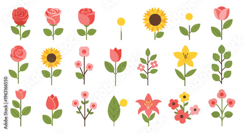 Collection of colorful flowers with green leaves on plain surface
