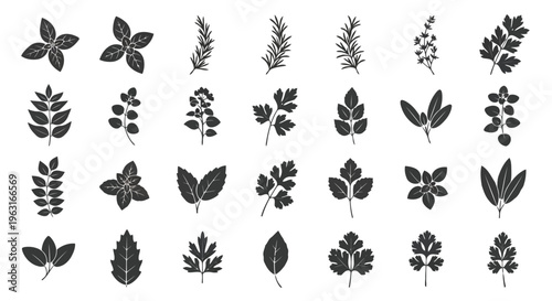 A diverse collection of black and white leaf patterns and designs for artistic inspiration