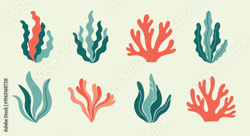 Coral reef elements in various shapes and colors on light green