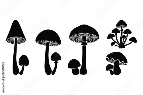 Mushroom silhouettes: various fungi types