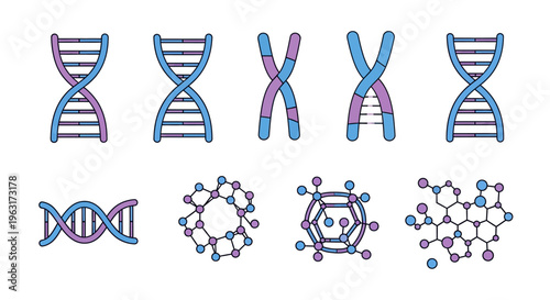 DNA icons set, flat vector illustration of genetic elements including double helix, chromosome, genome strands, and molecular structures, clean modern design with bright blue and purple color palette,