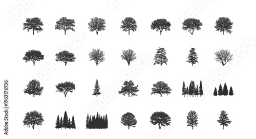 Diverse silhouettes of trees in various shapes and sizes displayed in a grid layout