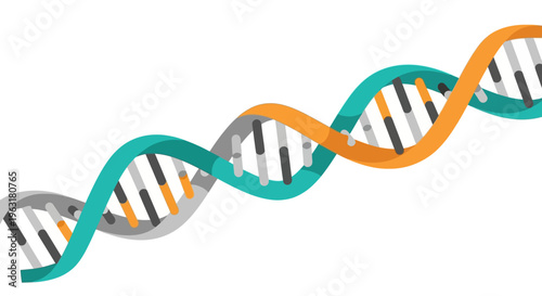 A stylized, colorful representation of a DNA double helix structure, illustrating the fundamental building block of life and genetics.