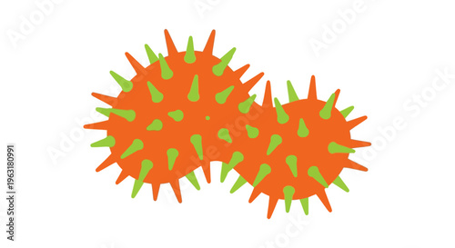 Two spiky orange spheres with green protrusions, resembling pollen or cells, against a white background.