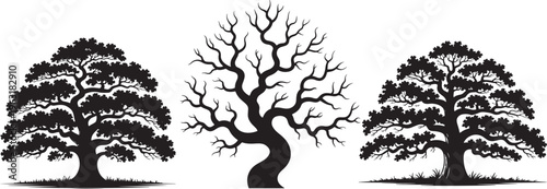 Black tree silhouettes with foliage and bare branches set isolated on transparent background for nature landscape design garden or forest scene creation oak maple and bonsai silhouettes collection