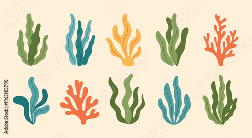 Colorful coral reef seaweed marine life decorative elements on beige