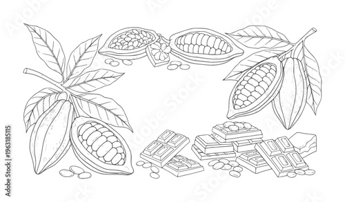 Hand drawn cocoa pods beans and chocolate bars arranged in a decorative border cacao