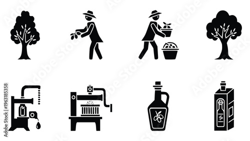 Olive oil production process from tree to bottle packaging