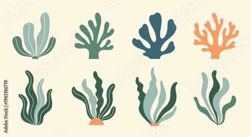 Colorful seaweed and coral marine plants on beige surface for aquatic designs