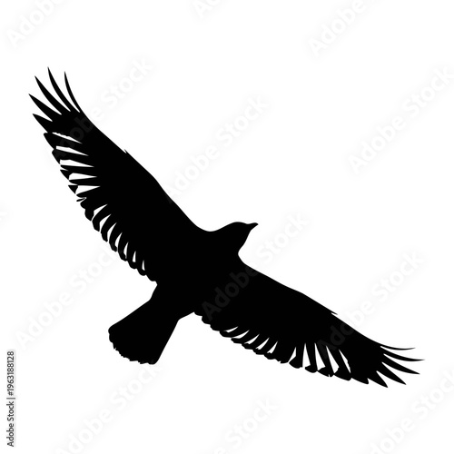 Eagle silhouette in flight