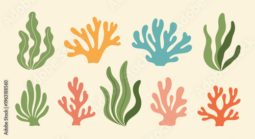 Colorful coral reef elements arranged on beige surface for design projects