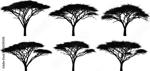 Tableau sur toile Black silhouette collection of African acacia trees featuring flat top savanna t