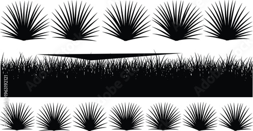 Slika na platnu Black silhouette collection of tropical palm fronds, desert yucca plants, and th