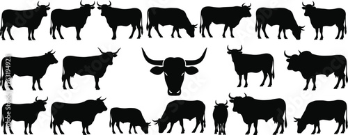 Collection of cattle and bull silhouettes in various poses including grazing and standing isolated on white background for farm and dairy industry