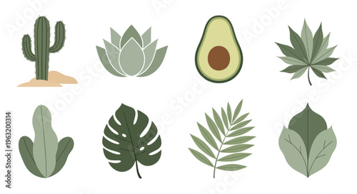 Variety of green leaves and plants.