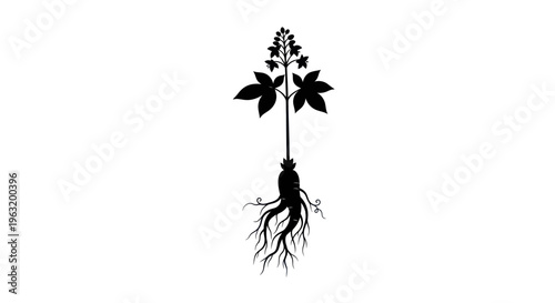 Black silhouette of a plant root.