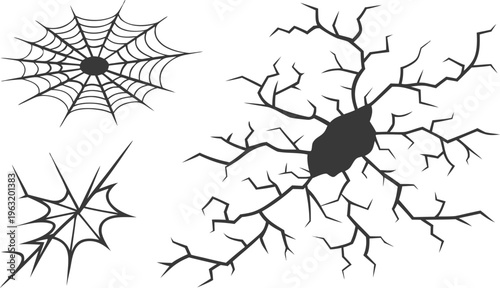 A creepy black spider macro illustration isolated on a white background features a silhouette of the arachnid's long legs as a symbol of nature and danger