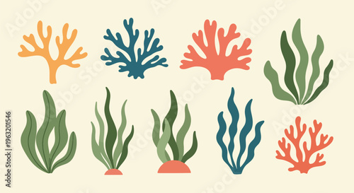 Colorful Coral Reef Seaweed Marine Life Illustrations