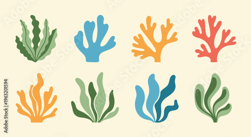 Vibrant coral reef marine life colorful sea plants underwater