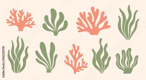 Coral reef seaweed and coral plants marine life elements
