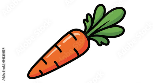 Fresh orange carrot vegetable root.