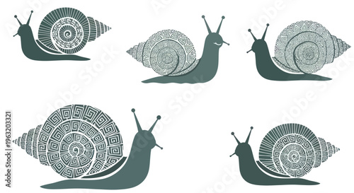 Green Snail Shells with Patterns.