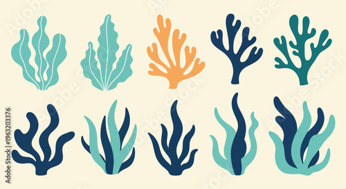 Collection of colorful coral reef elements in various shades